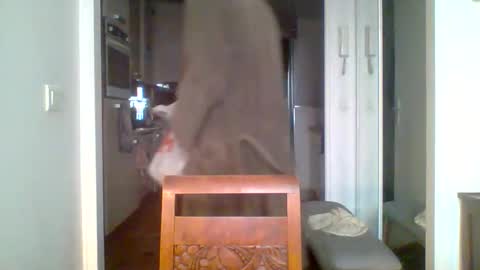 Snapshot of demundu chatting on November 17, 2025, 1:17 pm demundu online show from November 17, 2025, 1:17 pm