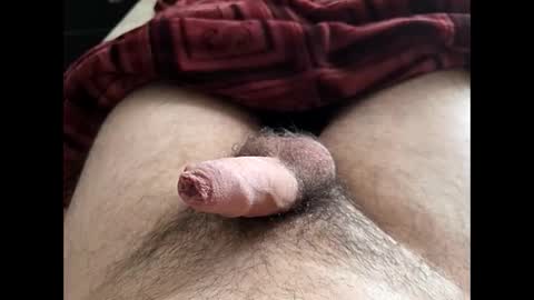 Snapshot of denis647 chatting on February 10, 2026, 2:21 pm LilRoach online show from February 10, 2026, 2:21 pm