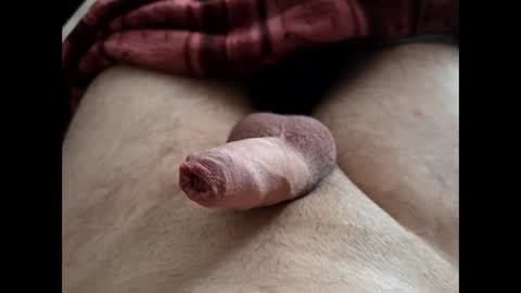 Snapshot of denis647 chatting on February 25, 2026, 2:05 pm LilRoach online show from February 25, 2026, 2:05 pm