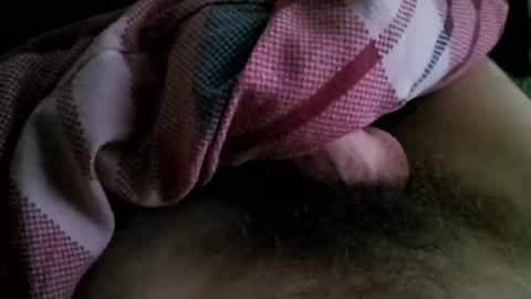 der_wanderer12 online show from November 8, 2025, 11:32 am