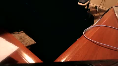 Snapshot of dfwgonewrong chatting on January 2, 2025, 2:33 am dfwgonewrong online show from January 2, 2025, 2:33 am