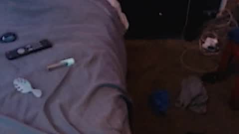 Snapshot of dickgiggler chatting on December 3, 2024, 7:10 am Sparkx online show from December 3, 2024, 7:10 am