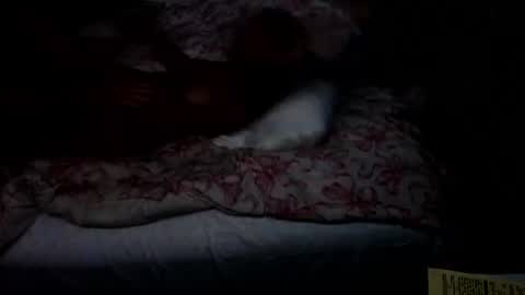 Snapshot of dickgiggler chatting on July 17, 2026, 12:34 pm Sparkx online show from July 17, 2026, 12:34 pm