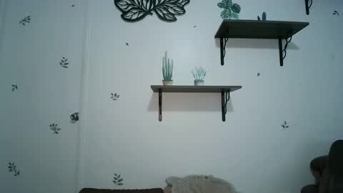 dickslayerdan online show from January 25, 2025, 8:21 pm