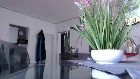 Snapshot of didiegal chatting on December 7, 2024, 2:02 pm squirtcock online show from December 7, 2024, 2:02 pm