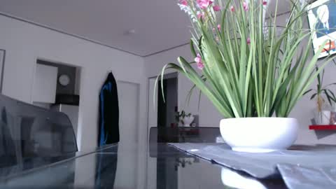 Snapshot of didiegal chatting on December 9, 2024, 2:39 pm squirtcock online show from December 9, 2024, 2:39 pm