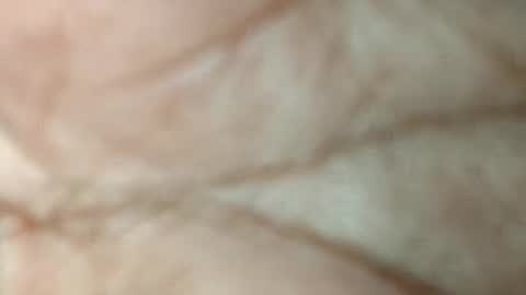 dyno online show from November 17, 2025, 5:52 pm