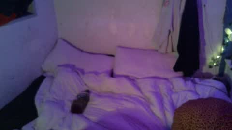 Snapshot of dipptripper chatting on April 16, 2026, 10:05 am Thomas OMalley online show from April 16, 2026, 10:05 am