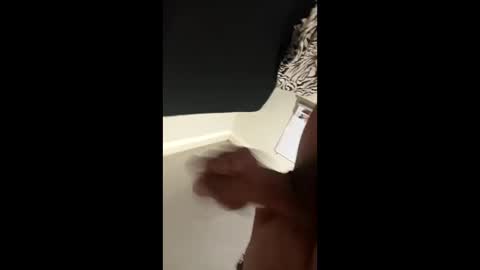 Snapshot of disidente1978 chatting on April 1, 2026, 2:34 am disidente1978 online show from April 1, 2026, 2:34 am