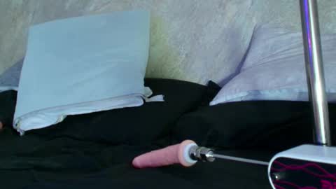 Snapshot of dixie_grey1 chatting on September 11, 2025, 2:50 pm Sofia  online show from September 11, 2025, 2:50 pm