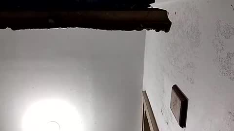 dixonbird41 online show from February 18, 2025, 3:54 pm