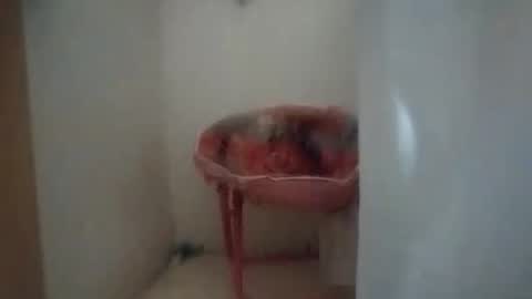 dixonbird41 online show from October 6, 2025, 10:12 am