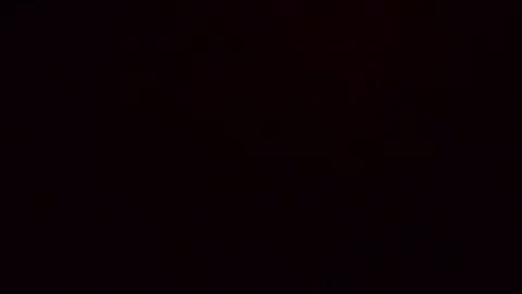 dixonbird41 online show from April 9, 2026, 11:59 am