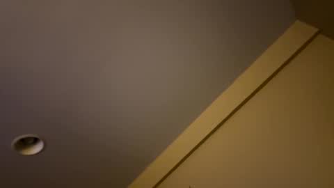 Snapshot of dnice69968127 chatting on January 18, 2025, 9:02 pm dnice69968127 online show from January 18, 2025, 9:02 pm