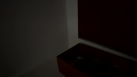 Snapshot of dnice69968127 chatting on January 11, 2026, 4:45 pm dnice69968127 online show from January 11, 2026, 4:45 pm