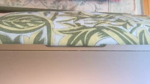 Theprinceofdarkness online show from January 14, 2026, 12:11 pm