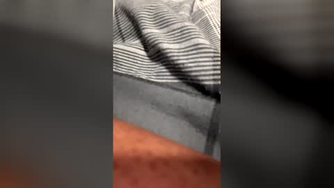 Dogladi online show from February 7, 2026, 11:36 am