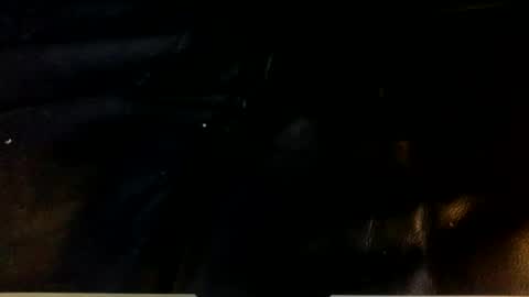 dogstarmanitee online show from December 24, 2024, 8:22 am