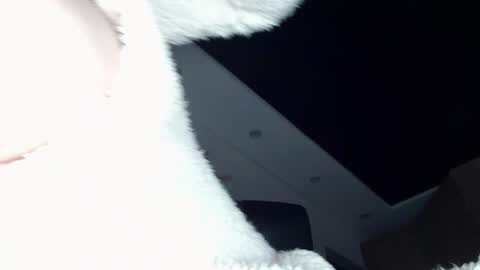 ILONA online show from December 20, 2024, 11:54 am