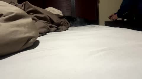 Snapshot of dolphin22356 chatting on January 17, 2025, 9:17 am Ben Dover online show from January 17, 2025, 9:17 am