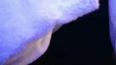 domse999 online show from February 17, 2025, 11:34 am