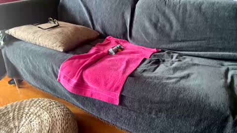 Alfredo online show from September 11, 2025, 11:10 am