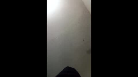 Snapshot of donkeykong34418301 chatting on March 3, 2026, 6:08 am donkeykong34418301 online show from March 3, 2026, 6:08 am