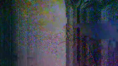 donosus online show from March 12, 2026, 3:23 am