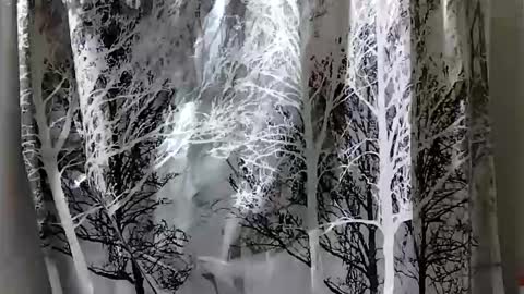 donschlongs online show from December 28, 2024, 7:01 pm