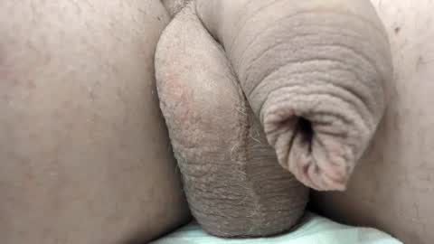 menu  below online show from February 11, 2025, 6:01 pm