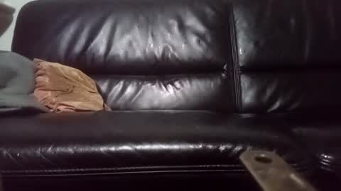 Carsten Tenberg online show from February 20, 2025, 3:56 am