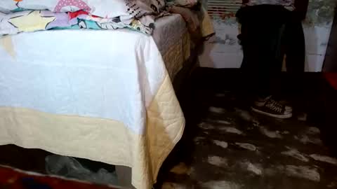 dreamreal online show from November 22, 2025, 11:20 am