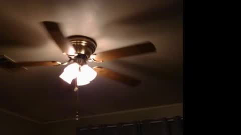 WetFilipinaPussy online show from November 9, 2025, 11:58 pm