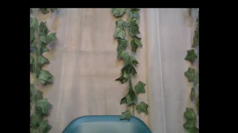 linda online show from October 14, 2025, 12:50 pm