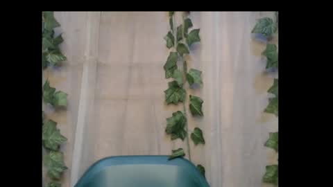 linda online show from October 30, 2025, 1:12 pm