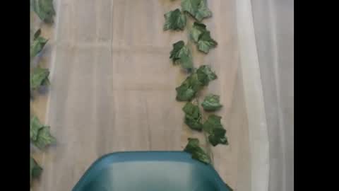 linda online show from December 21, 2025, 12:18 am