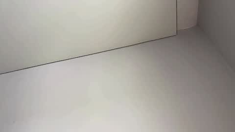 Bella online show from February 5, 2025, 3:55 am