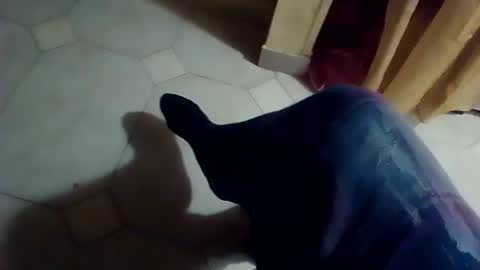 dthedog12 online show from February 8, 2026, 1:09 am