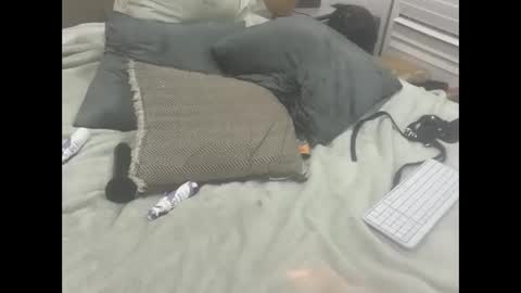 Dude online show from February 18, 2026, 11:55 pm