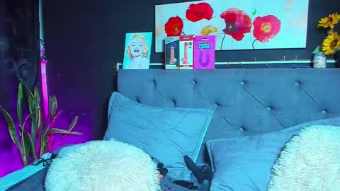 C E L E S T E  online show from January 31, 2025, 1:33 am