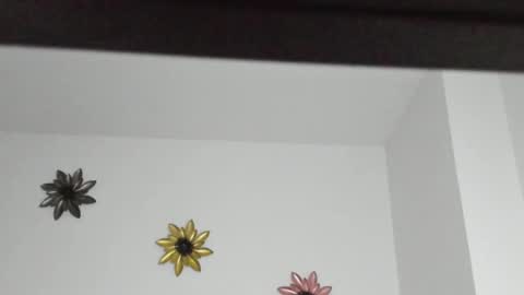 Dulce  online show from January 5, 2025, 2:08 pm