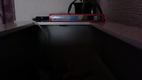 dulce_smith02 online show from November 24, 2025, 5:23 pm