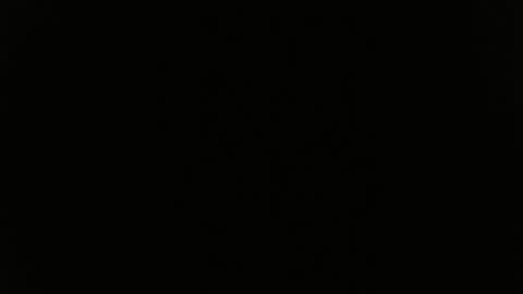 DULCE MARIA online show from June 4, 2026, 4:51 am