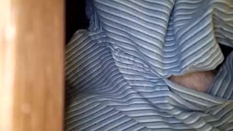 dVe1oPe online show from January 15, 2026, 9:47 am