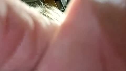 dwr127 online show from March 15, 2026, 3:12 am