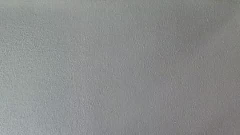 dzznutzzz online show from September 11, 2025, 12:38 pm