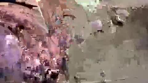 Easye online show from January 26, 2025, 7:41 pm