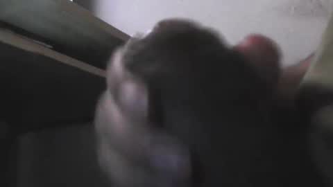 Snapshot of eddie69117 chatting on November 5, 2025, 9:20 am EddiesCock69 online show from November 5, 2025, 9:20 am