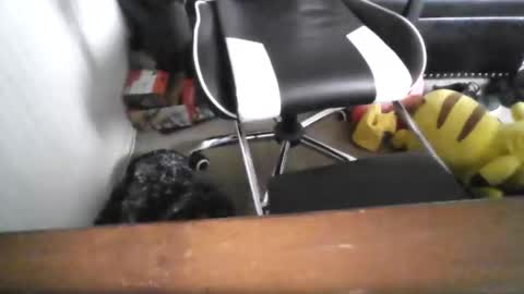 eddy815 online show from November 24, 2025, 10:53 pm