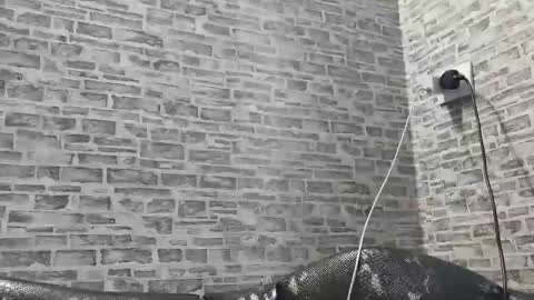 edithmanning online show from February 27, 2025, 2:10 pm